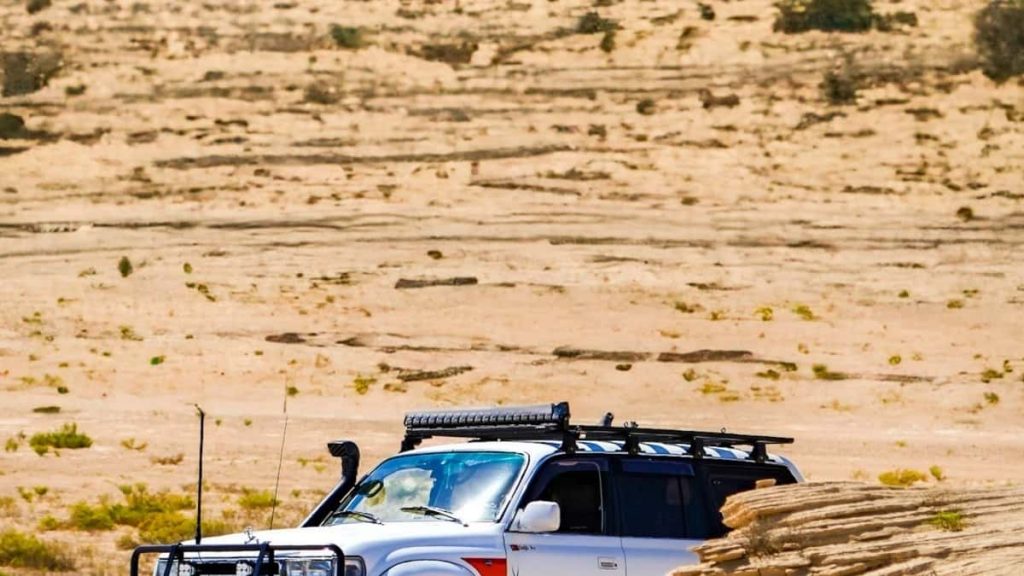 2025年Kuwait Twitter网红达人粉丝排行榜实战解析