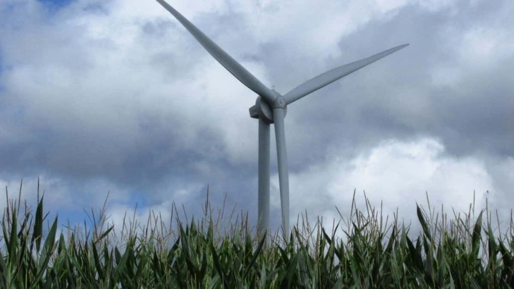 2025年Norway TikTok网红达人粉丝排行榜全解析