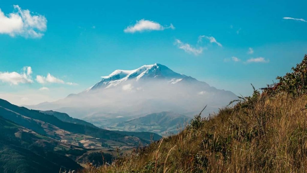 2025年New Zealand Twitter网红达人粉丝排行榜一览