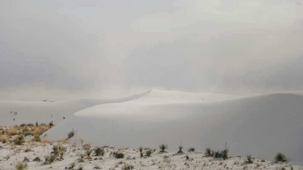 2025年Chile TikTok网红达人粉丝排行榜深度解析与中国出海实战指南