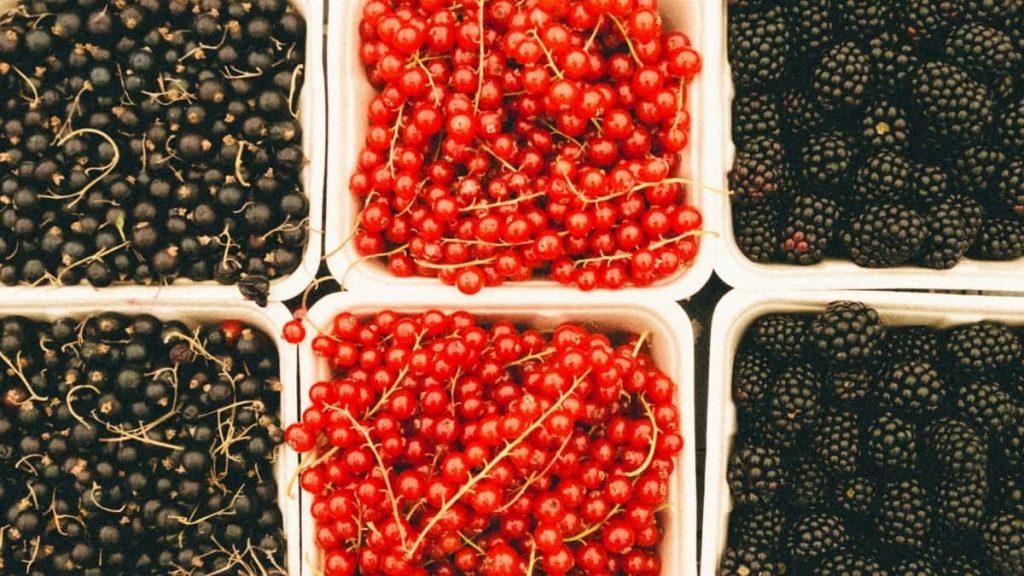 2025年越南Pinterest网红达人粉丝排行榜全揭秘