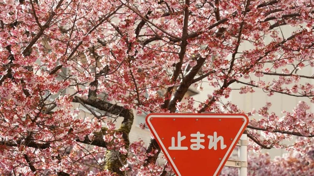 如何找到德国YouTube网红合作最新实战指南教你玩转Germany市场