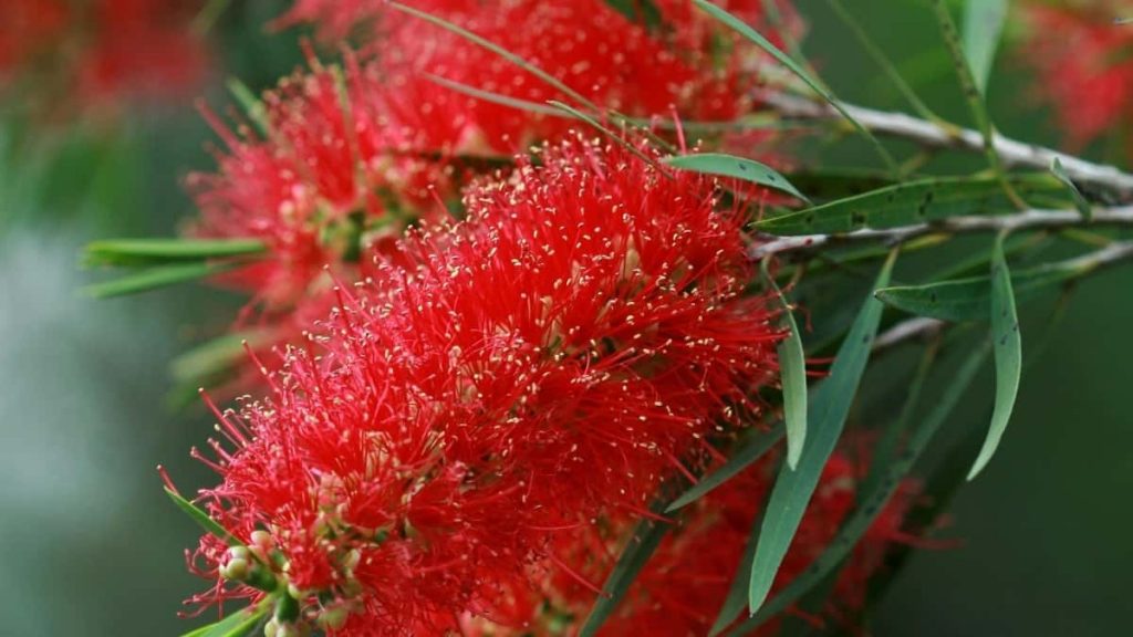 面向中国广告主：如何定位塞浦路斯市场的HBO Max相关创作者并用KOL热度拉爆闪购转化，含渠道、筛选、合约与话术模板。