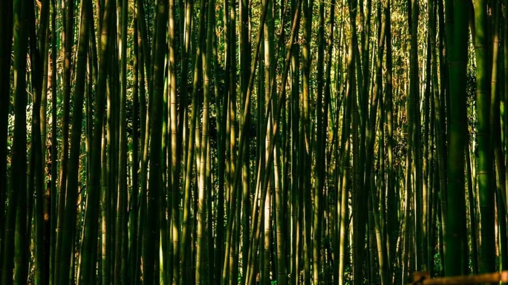 为中国创作者量身：如何在Bilibili上接触匈牙利品牌，争取拍摄工厂/活动/产品的幕后内容，包含联络渠道、本地化提案与实操步骤。