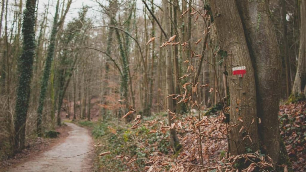 面向中国创作者：实操步骤、渠道话术与合规注意，教你通过微信接触乌兹别克本地品牌合作举办游戏激活码抽奖。