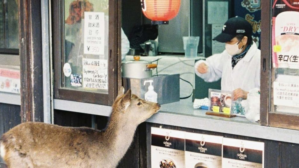 为中国广告主提供可执行流程：怎么在Chingari上找到斯洛伐克本地健身创作者，策划并执行创作者主导的健身挑战，含筛选、沟通、合约与避坑建议。