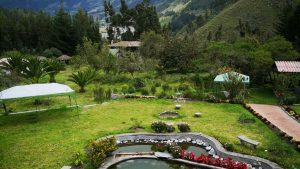 给在中国的OnlyFans创作者：实操路线、数据解读和联系乌克兰品牌拿到头部合作的可行策略与风险提醒。