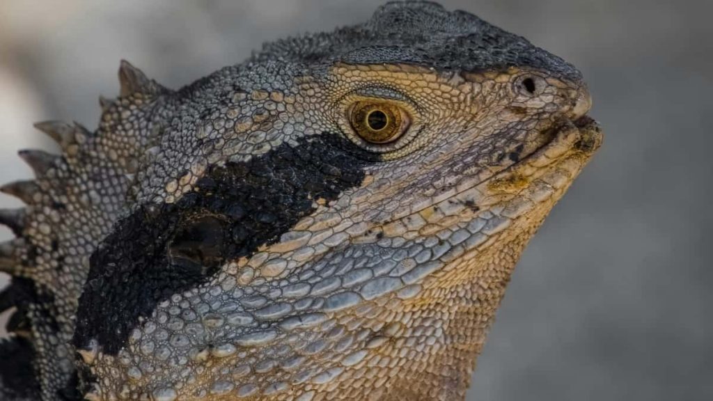 面向中国创作者：实操指南教你用Zalo接触孟加拉品牌，策划游戏钥匙抽奖活动、谈条件、合规注意与本地化话术。