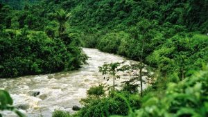 面向中国品牌主：实操型方法，教你在马来西亚通过WhatsApp渠道找到合适的护肤品创作者并做影响力推广。