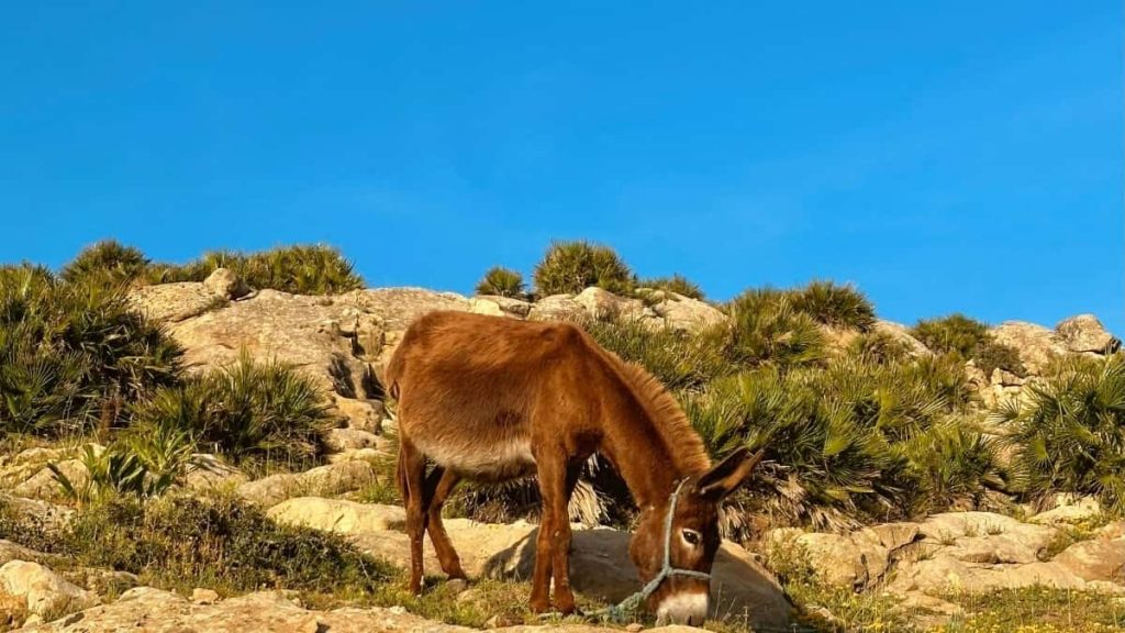 面向中国创作者，教你在Threads上联系柬埔寨品牌、策划游戏钥匙抽奖的落地策略、话术与风险控制。包含模板、步骤和实操清单。