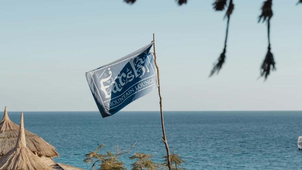 面向中国创作者，实战教你如何利用 Disney Plus 新版生态与品牌方（Georgia 地区）对接、谈判并拿下付费赞助。