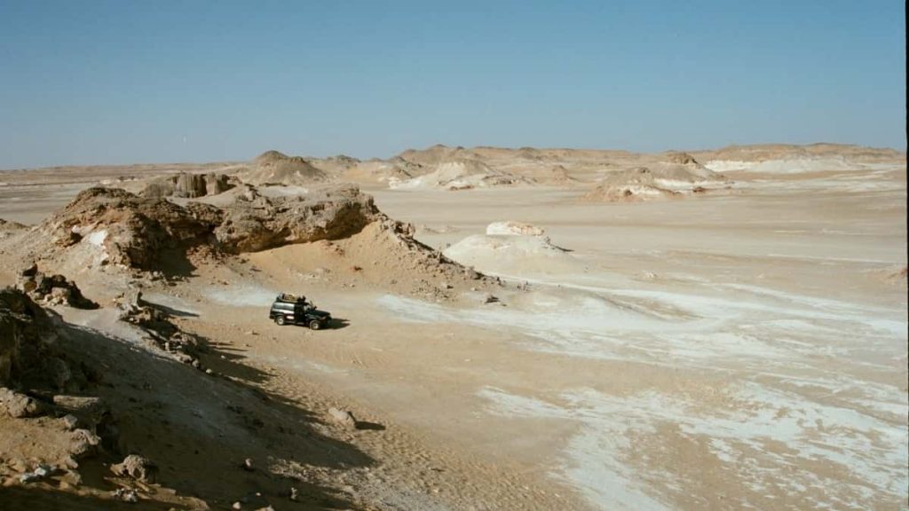 面向中国广告主的实战指南：如何在玻利维亚寻找并激活能在Amazon上带货的本地与跨境创作者，含渠道、筛选、合作模式与落地步骤。