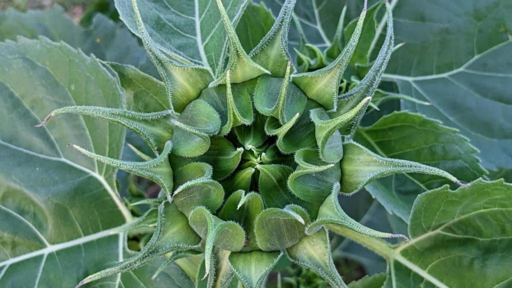 面向中国广告主：如何高效找到并把克罗地亚 Douyin 创作者转化为有质量的营销线索与潜客。实操流程、平台比较、合约话术和避坑建议。