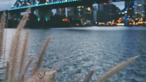 面向中国创作者：实战性指南，教你在Rumble上触达塞浦路斯品牌、处理合规与信任问题，并把影响力变成可持续赞助合作。