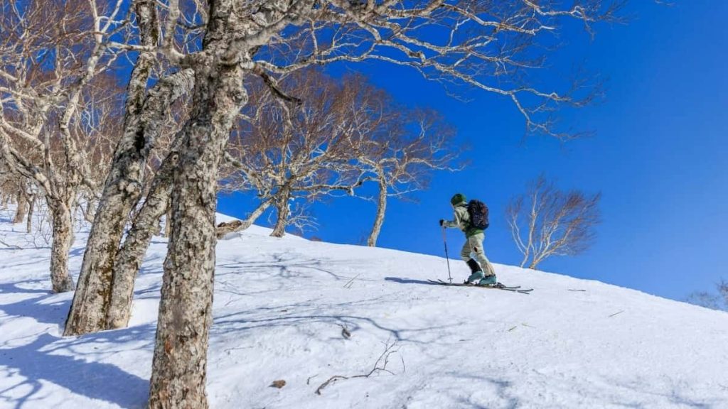 面向中国创作者的实操指南：如何在Spotify上找到并成功接触埃塞俄比亚品牌，争取品牌大使/ambassador合作。包含平台策略、邮件/社媒模板、风险与注意点。