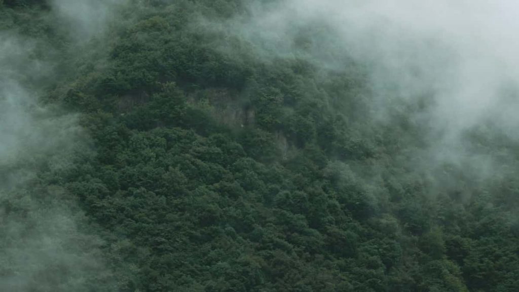 面向中国广告主：实操路径、筛选渠道与寄送PR包的本地化注意点，基于南非短视频生态与最新平台数据。