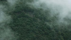 面向中国广告主：实操路径、筛选渠道与寄送PR包的本地化注意点，基于南非短视频生态与最新平台数据。