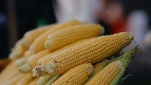 面向中国创作者：一步步教你在 Facebook 上接触埃及品牌、设计合规吸粉抽奖并把流量转化为长期合作。包含实操清单、模板和风险提示。