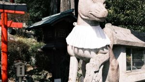 面向中国创作者：如何用Zalo接触意大利品牌、谈判拍摄幕后（BTS）内容并把合作变现的实战流程与注意事项。