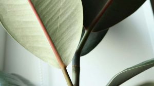 面向中国品牌，教你在德国找到合适的小红书创作者、本地化品牌信息的实战流程与注意点。结合平台特性与近期媒体观察，给出可执行步骤。