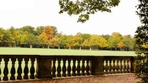 面向中国创作者的实战指南：用Douyin触达巴林品牌的策略、信息渠道、内容定位与联系模板，结合Majid Al Futtaim的线上矩阵实战数据与区域营销趋势。