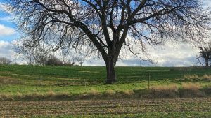 面向中国创作者的实操指南：如何通过 Clubhouse 接触埃及品牌，带上赞助商标签并覆盖活动报道。包含渠道策略、本地化话术与一步步执行流程。