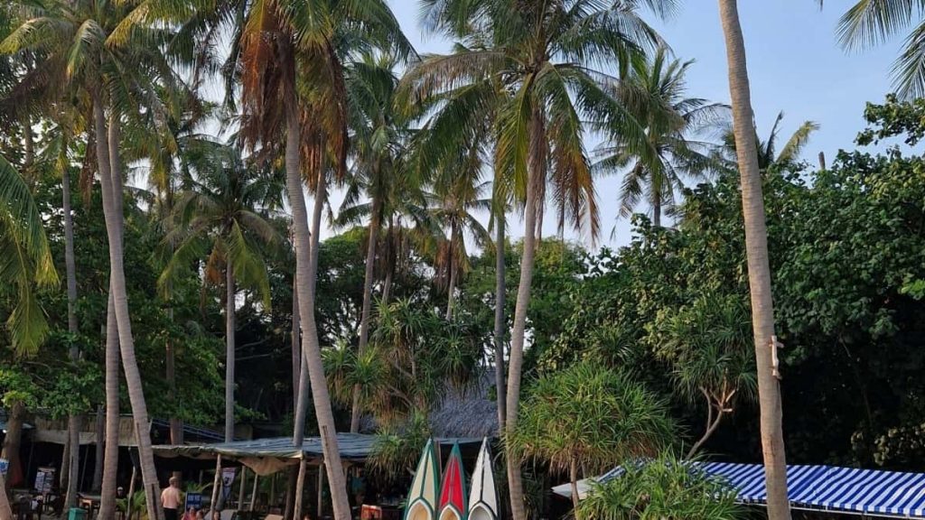 面向中国创作者的实操指南：如何通过 WhatsApp 有效接触缅甸本地品牌，打磨提案并与旅游局类项目达成合作。包含渠道比对、模板、风险与本地化建议。